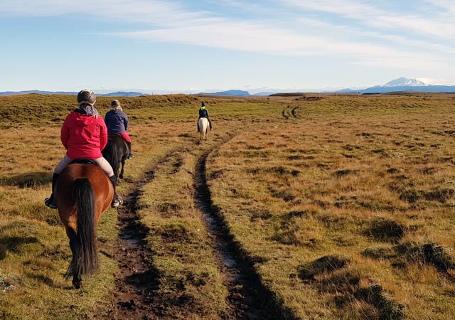 Eine Woche Reiten im Süden Islands | Erfahrungsbericht